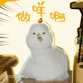 做咩啊 滤镜 影视追剧 搞笑表情 李兰迪 檀健次