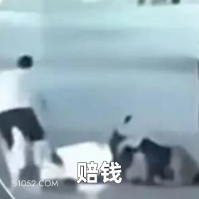 赔钱 2025年06月05日 恶搞 恶搞新闻 车祸 电动车 白血病 小孩