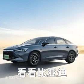 看看比亚迪 2025年06月11日 恶搞 恶搞新闻 车企 政策