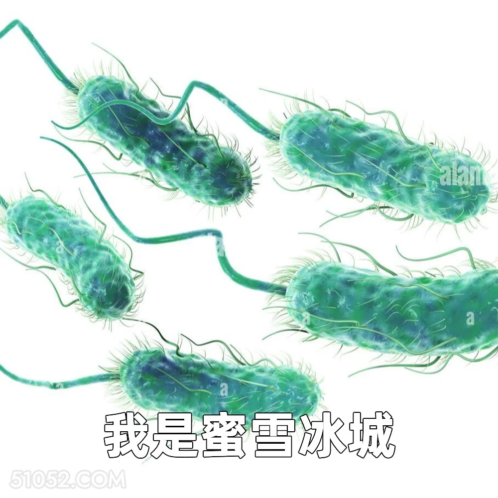 我是蜜雪冰城 2025年06月12日 恶搞 恶搞新闻 蜜雪冰城 大肠杆菌