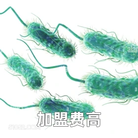加盟费高 2025年06月12日 恶搞 恶搞新闻 蜜雪冰城 大肠杆菌