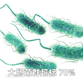 恶搞新闻 2025年06月12日 恶搞 恶搞新闻 蜜雪冰城 大肠杆菌