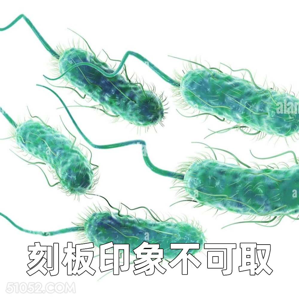 刻板印象不可取 2025年06月12日 恶搞 恶搞新闻 蜜雪冰城 大肠杆菌