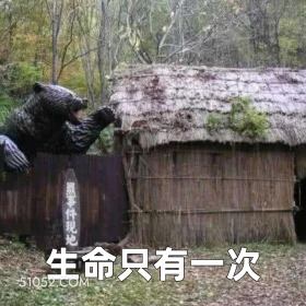 生命只有一次 2025年06月20日 恶搞 恶搞新闻 藏马熊 吃人