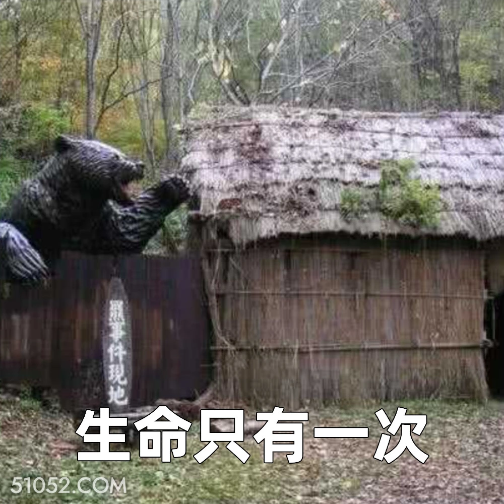 生命只有一次 2025年06月20日 恶搞 恶搞新闻 藏马熊 吃人