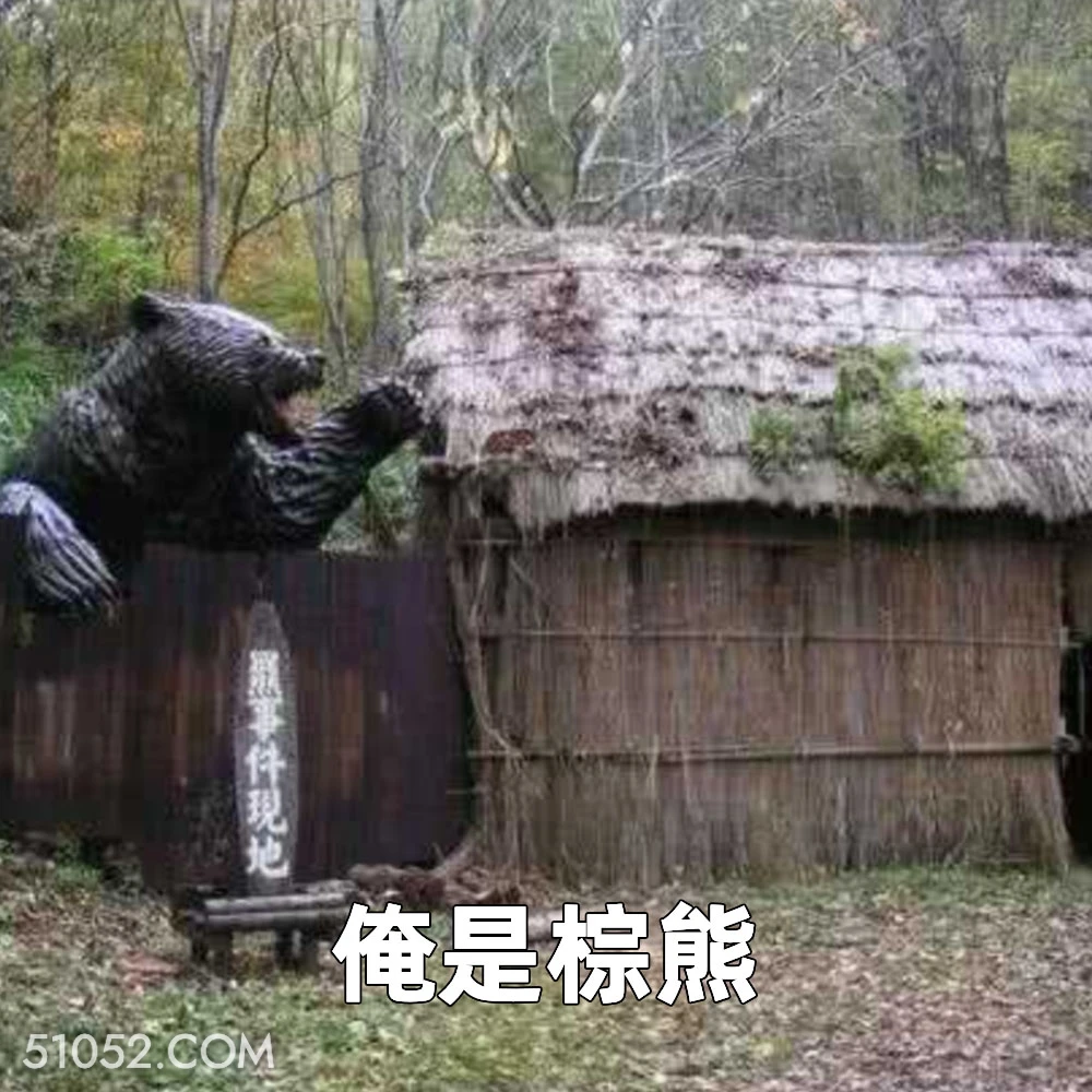 俺是棕熊 2025年06月20日 恶搞 恶搞新闻 藏马熊 吃人