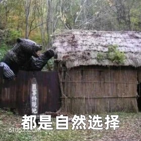都是自然选择 2025年06月20日 恶搞 恶搞新闻 藏马熊 吃人