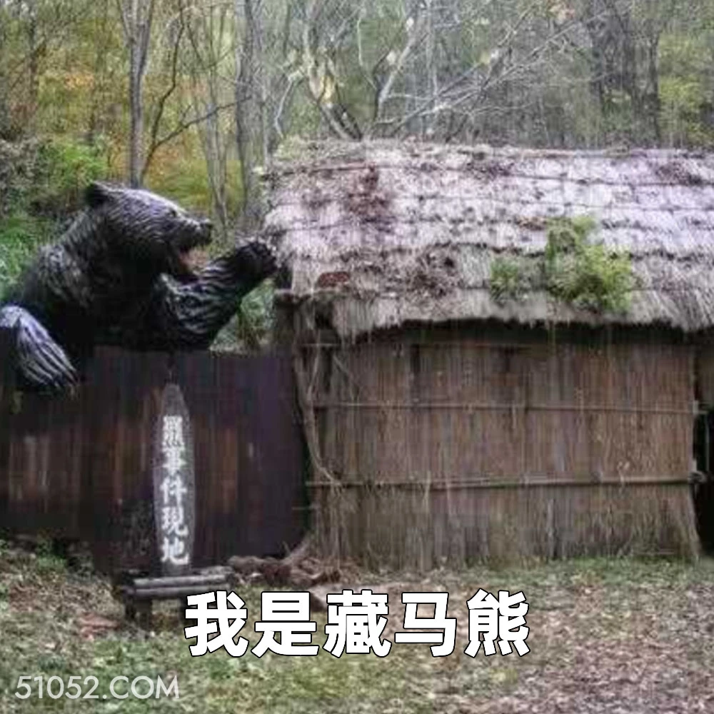我是藏马熊 2025年06月20日 恶搞 恶搞新闻 藏马熊 吃人