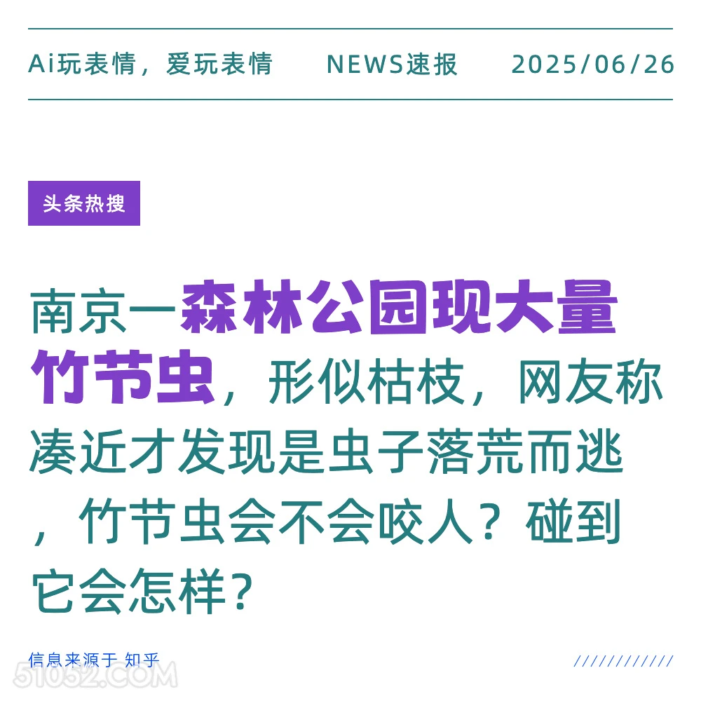 大量竹节虫 2025年06月26日 新闻 头条热搜