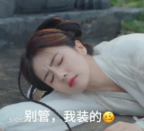 别管,我装的 临江仙 影视剧 搞笑表情 花如月 白九思