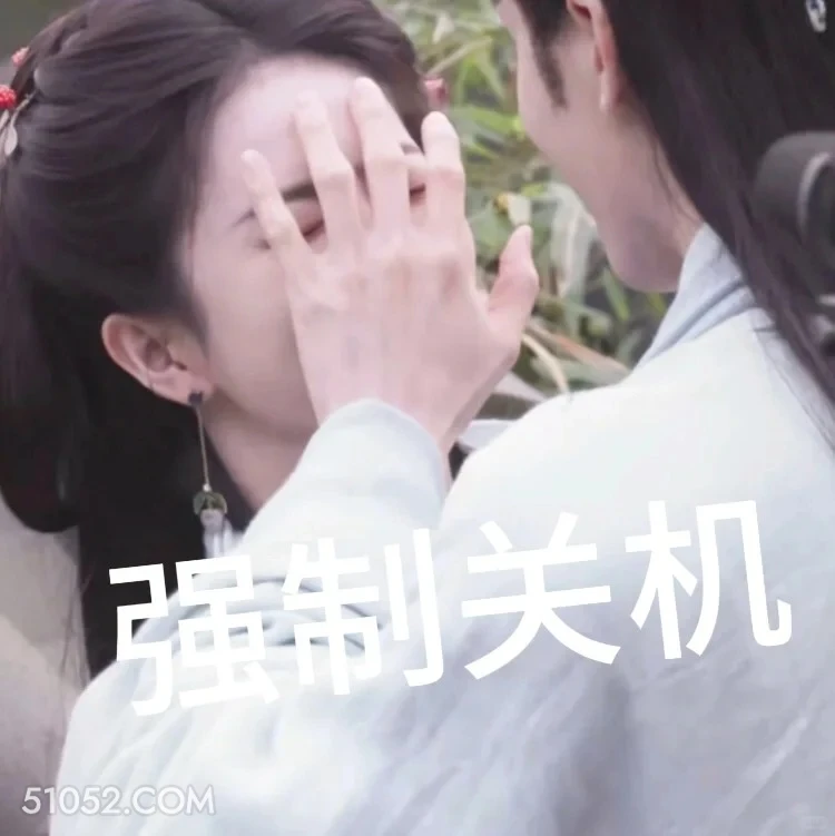 强制关机 临江仙 影视剧 搞笑表情 白鹿 曾舜晞