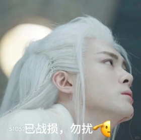 已战损,勿扰 临江仙 影视剧 搞笑表情 花如月 白九思