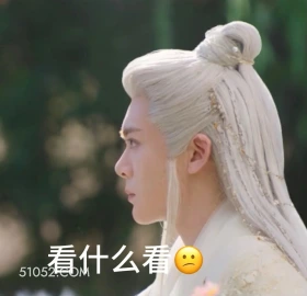 看什么看 临江仙 影视剧 搞笑表情 花如月 白九思