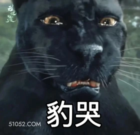 豹哭 无忧渡 影视追剧 搞笑表情 任嘉伦 宋祖儿