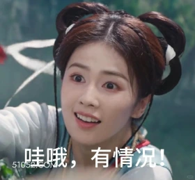 有情况 临江仙 影视剧 搞笑表情 花如月 白九思