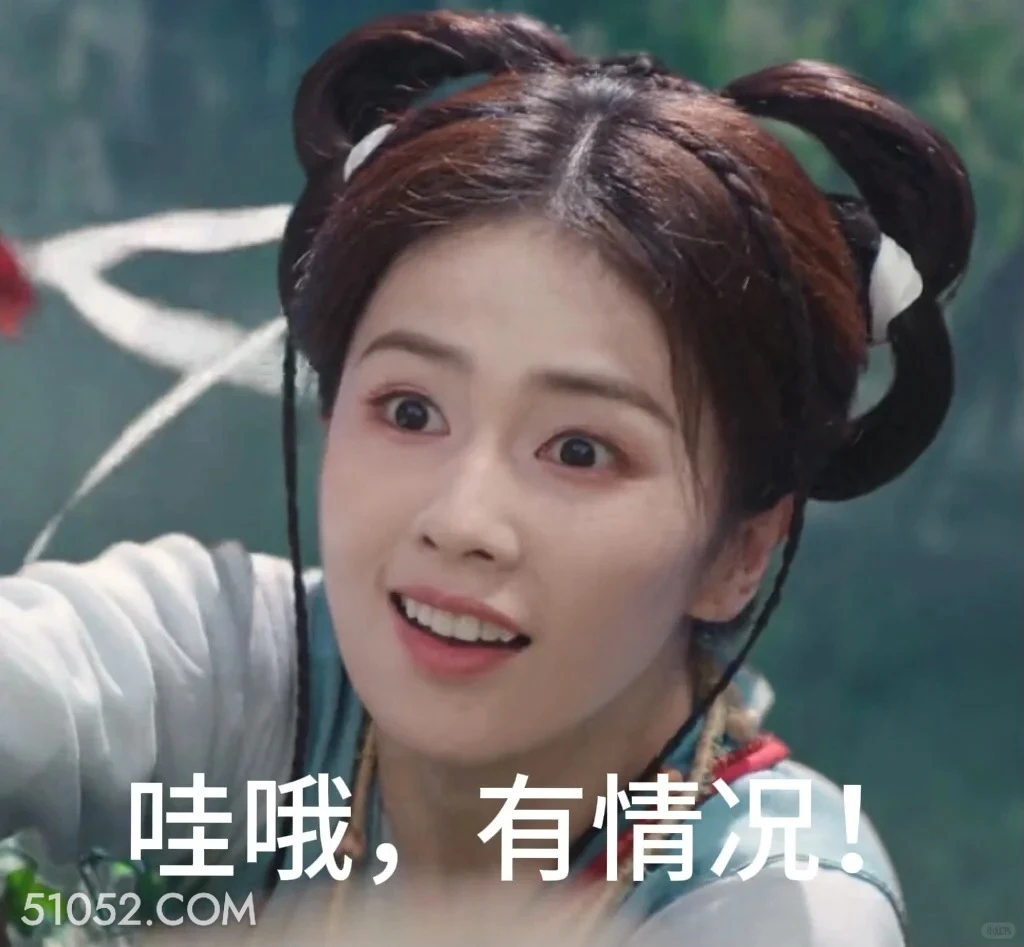 有情况 临江仙 影视剧 搞笑表情 花如月 白九思