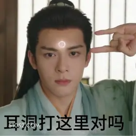 耳洞打这里对吗 临江仙 影视剧 搞笑表情 白鹿 曾舜晞