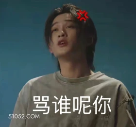 骂谁呢你 猎罪图鉴 影视追剧 搞笑表情 金世佳 杜城