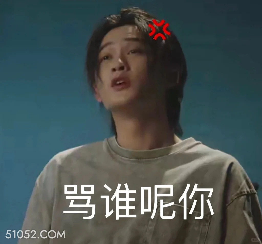 骂谁呢你 猎罪图鉴 影视追剧 搞笑表情 金世佳 杜城