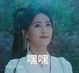 嘿嘿 临江仙 影视剧 搞笑表情 花如月 白九思