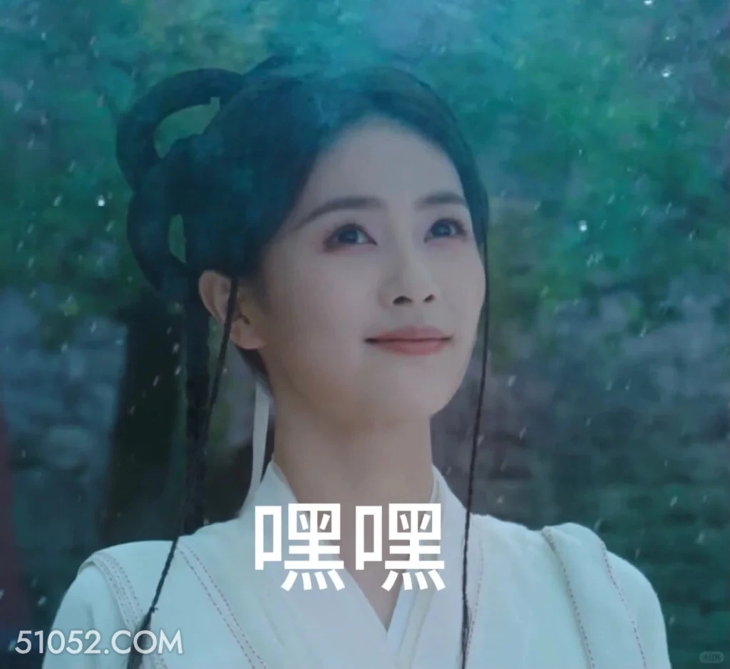 嘿嘿 临江仙 影视剧 搞笑表情 花如月 白九思
