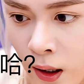 哈? 临江仙 影视剧 搞笑表情 白鹿 曾舜晞