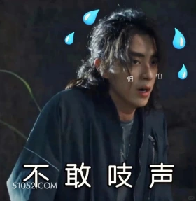 不敢吱声 七根心简 影视剧 搞笑表情 刘浩存 敖瑞鹏