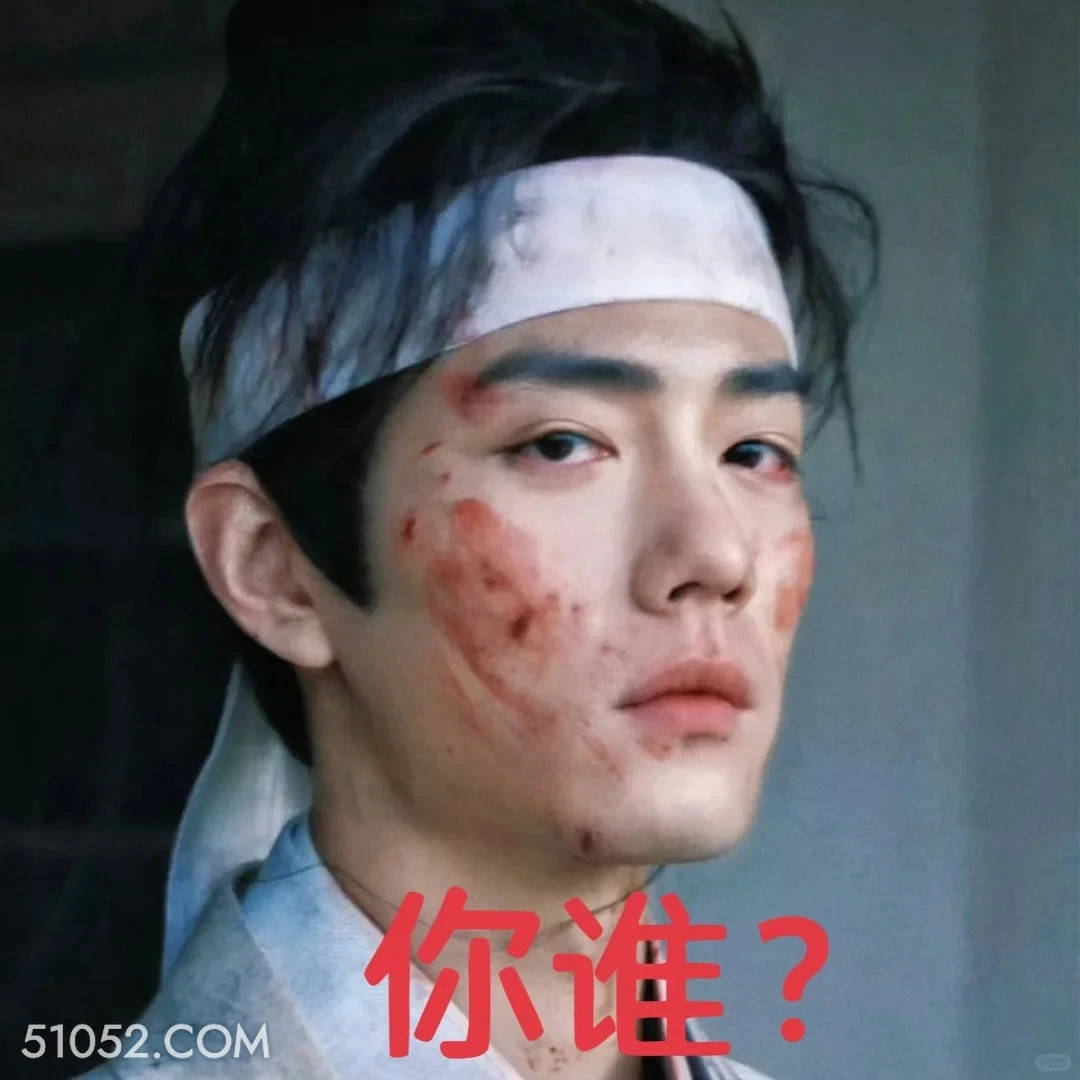 你谁 藏海传 影视剧 搞笑表情 肖战