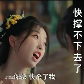 你快杀了我 永夜星河 影视剧 搞笑表情 虞书欣 林妙妙