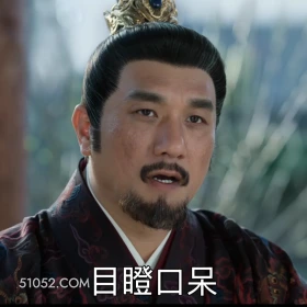 目瞪口呆 藏海传 影视剧 搞笑表情 肖战 张婧仪