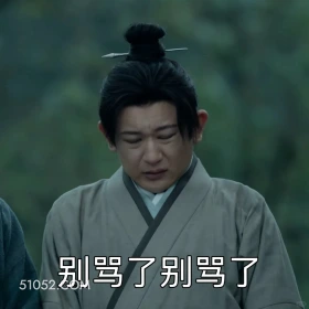 别骂了 藏海传 影视剧 搞笑表情 肖战 周奇