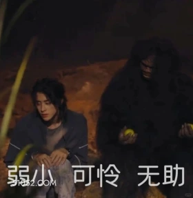 弱小可怜又无助 七根心简 影视剧 搞笑表情 刘浩存 敖瑞鹏