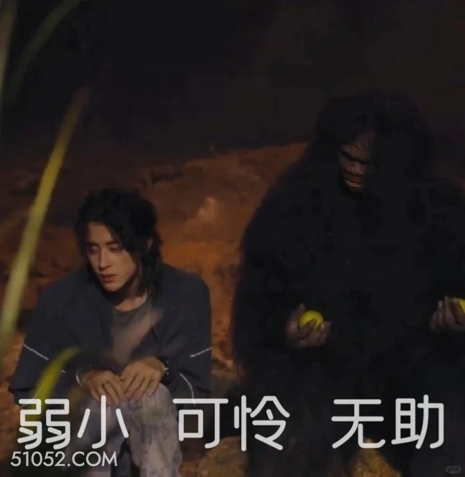 弱小可怜又无助 七根心简 影视剧 搞笑表情 刘浩存 敖瑞鹏