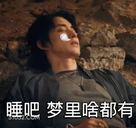 睡吧，梦里什么都有 七根心简 影视剧 搞笑表情 刘浩存 敖瑞鹏
