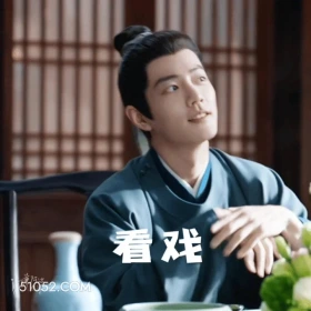 看戏 藏海传 影视剧 搞笑表情 肖战 张婧仪
