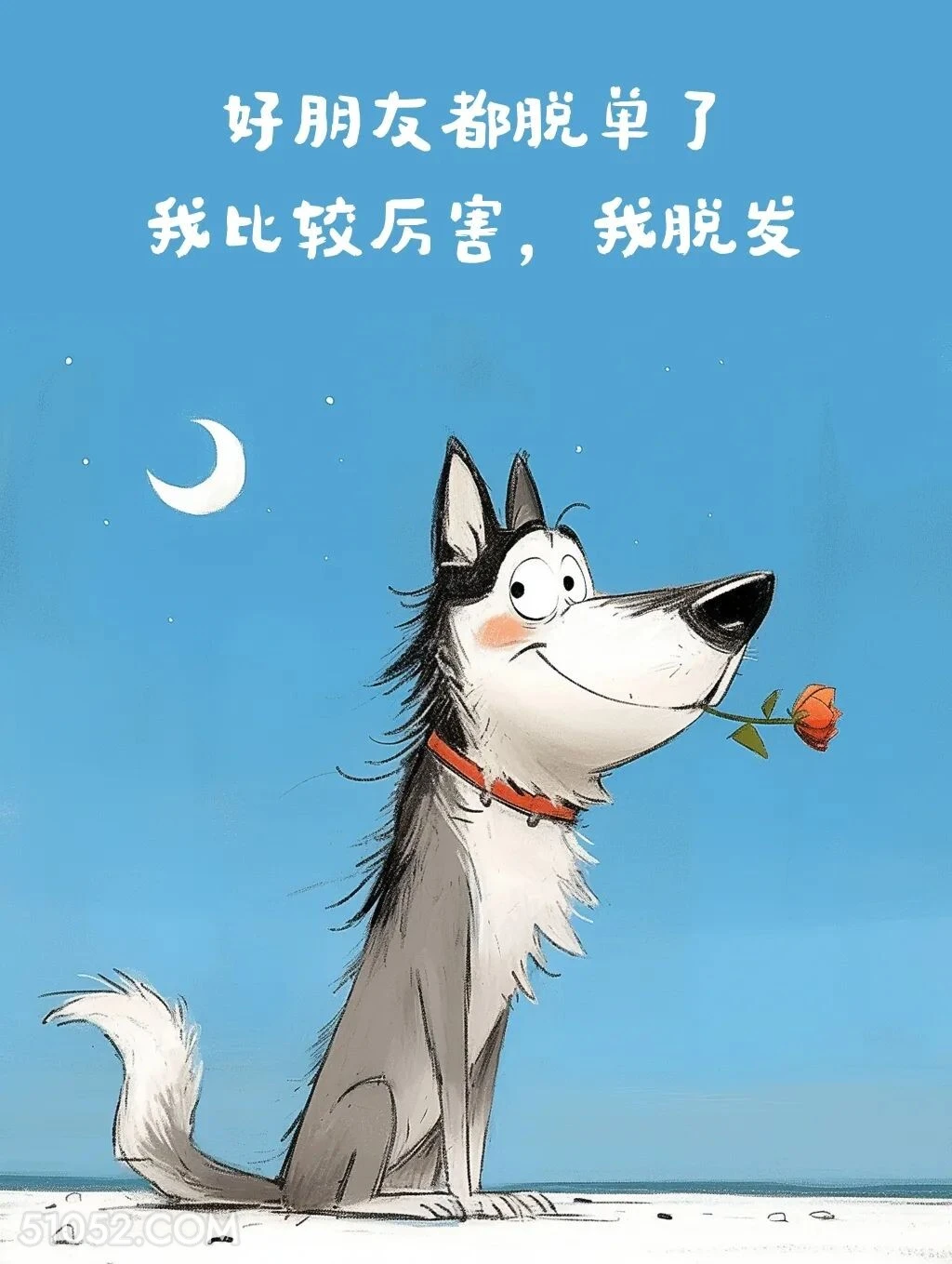 别人脱单我脱发 小狗 笑死了 搞笑文案 哈士奇