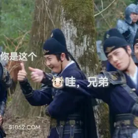 你是这个👍 一念关山 影视追剧 搞笑表情 刘诗诗 刘宇宁