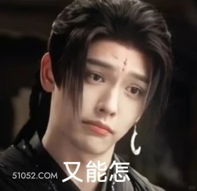 又能怎 书卷一梦 影视追剧 搞笑表情 王以纶 刘宇宁