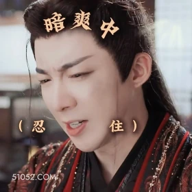 暗爽中 书卷一梦 影视追剧 搞笑表情 王以纶 刘宇宁