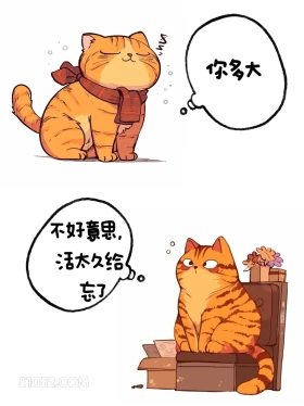活太久忘了 猫猫 高情商答复 你多大了 搞笑文案