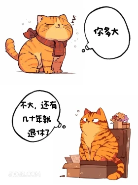 不大，还有几十年退休 猫猫 高情商答复 你多大了 搞笑文案