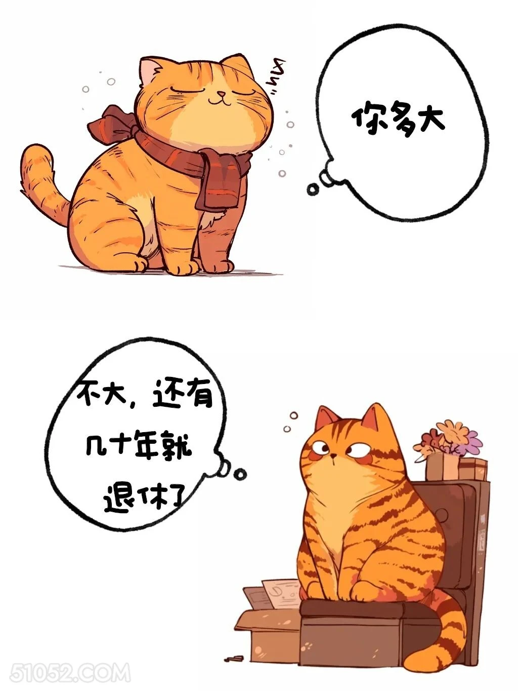 不大，还有几十年退休 猫猫 高情商答复 你多大了 搞笑文案