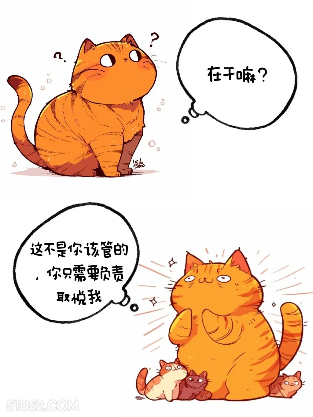 这不是你该管的事 猫猫 高情商答复 在干嘛 搞笑文案