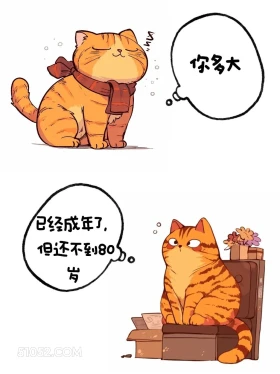 不到80 猫猫 高情商答复 你多大了 搞笑文案