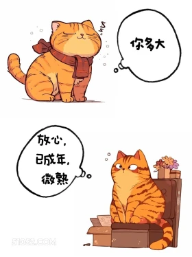 已成熟，微熟 猫猫 高情商答复 你多大了 搞笑文案