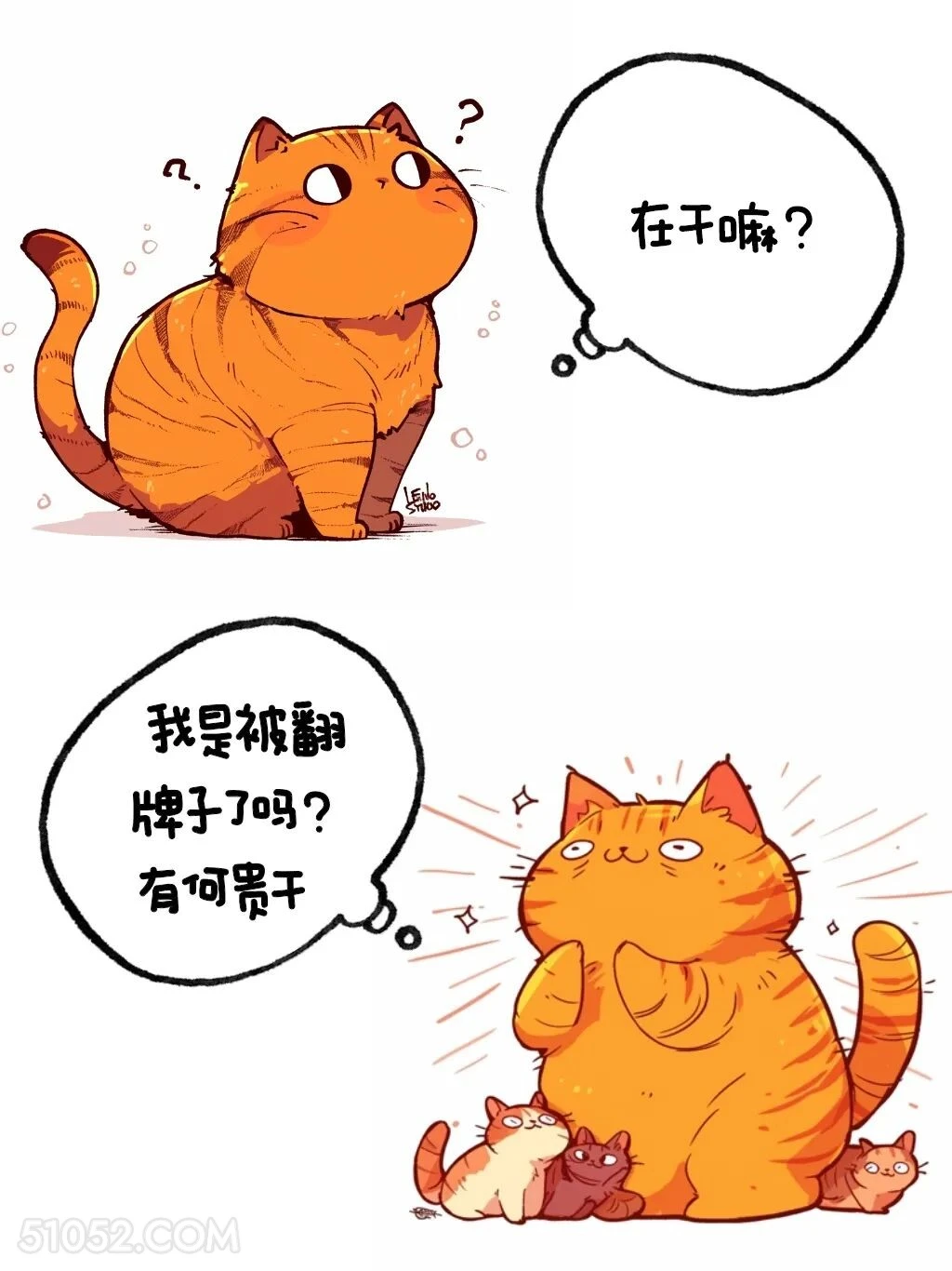 我是被翻牌子了吗 猫猫 高情商答复 在干嘛 搞笑文案