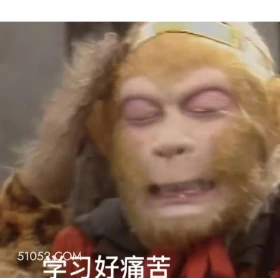 学习好痛苦 西游记 影视追剧 搞笑表情 猪八戒 沙和尚