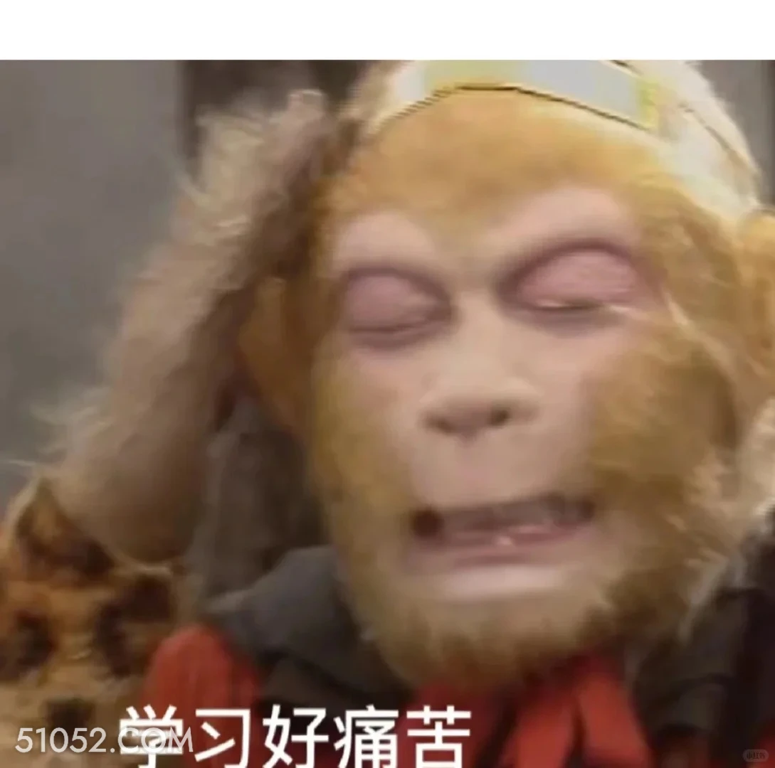 学习好痛苦 西游记 影视追剧 搞笑表情 猪八戒 沙和尚