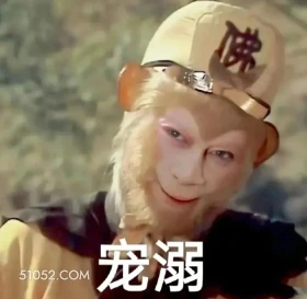 宠溺 西游记 影视追剧 搞笑表情 孙悟空 唐僧