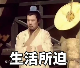 生活所迫 三国演义 影视追剧 搞笑表情 四大名著